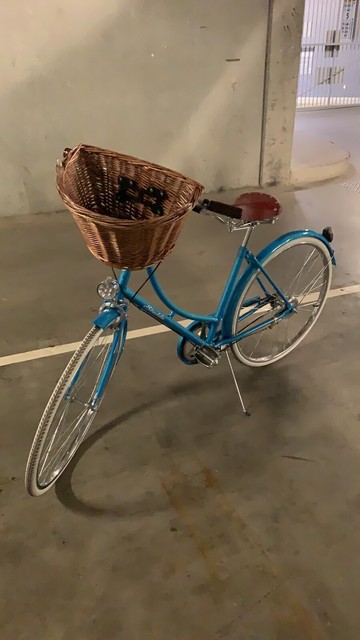 dutch bike gumtree